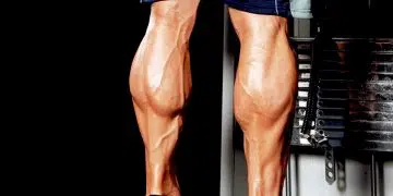 Calf Raise Machine Alternatives