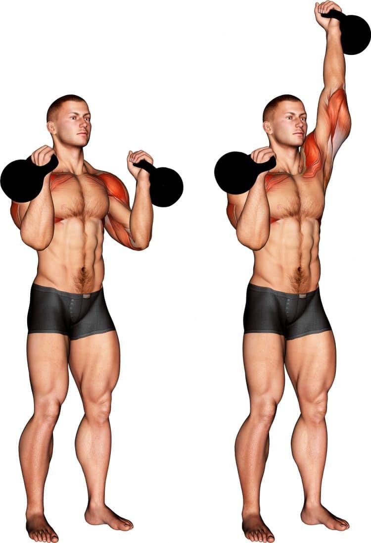 Kettlebell Alternating Press Shoulder Muscles