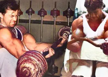 Preacher Curl Alternatives