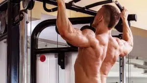 Pullup Alternatives and Variations