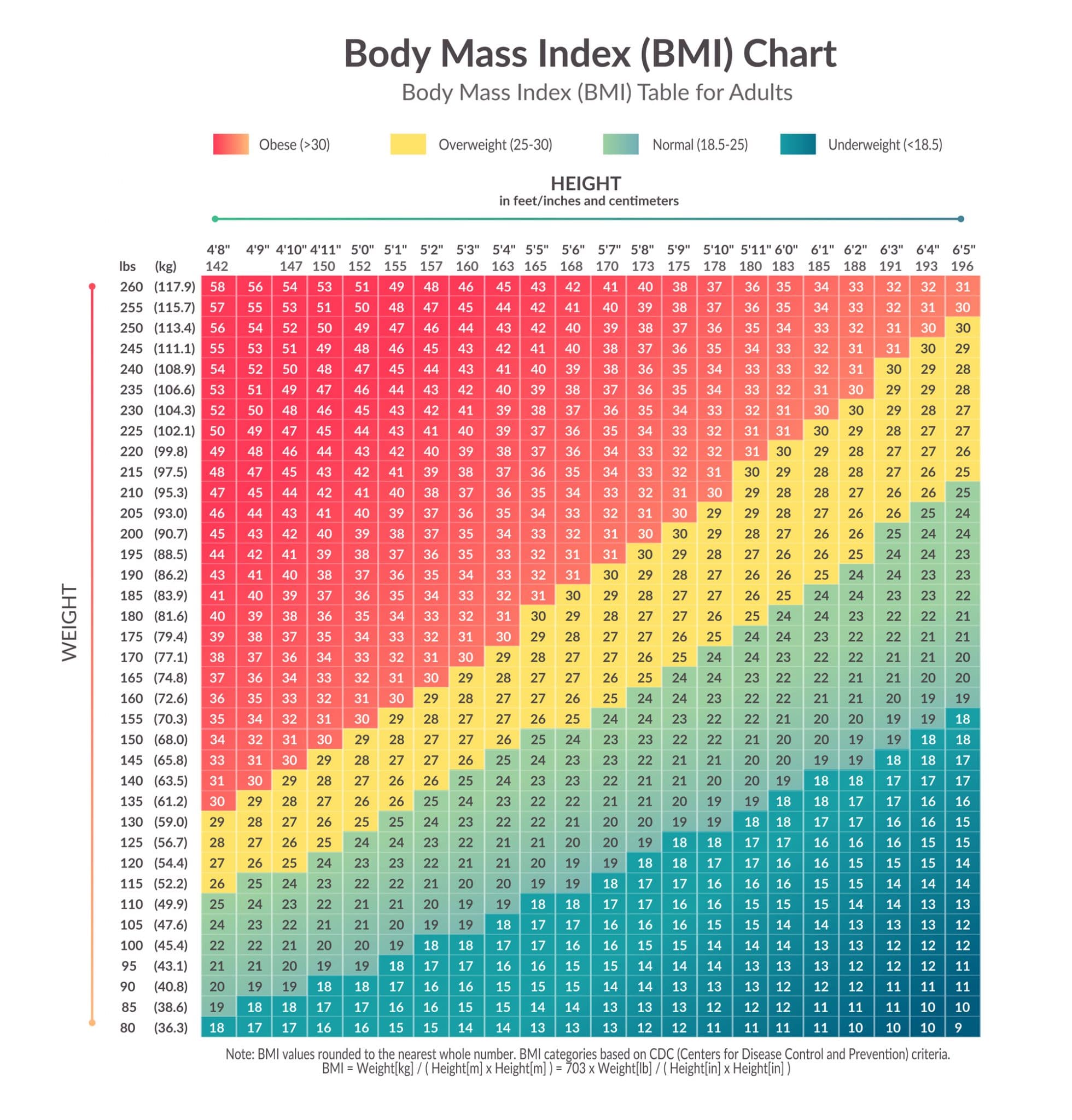 BMI (Body Mass Index) Calculator | Quetelet Index Calculator – Fitness Volt