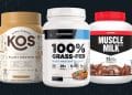 Best Gluten Free Protein Supplements