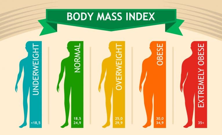 BMI (Body Mass Index) Calculator | Quetelet Index Calculator – Fitness Volt