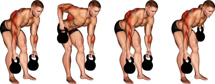 Kettlebell Alternating Row Muscles Worked