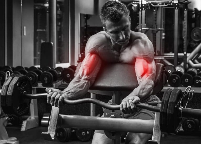 Best Bodybuilding Programs for Beginner, Intermediate, and Advanced ...