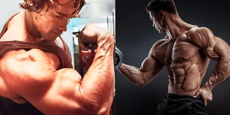 Sleeve Busting Arm Training Program