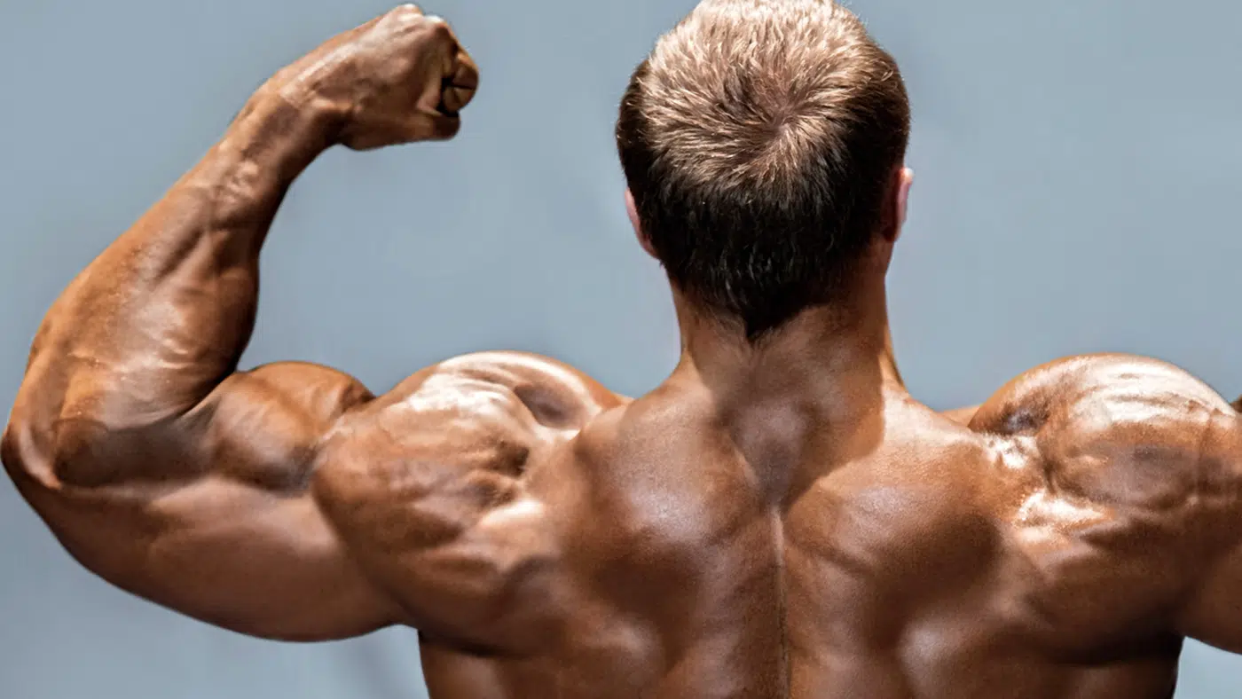 Infraspinatus Exercises