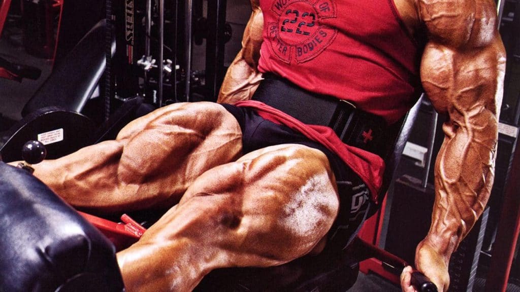 Athlete training legs during a structured leg day workout