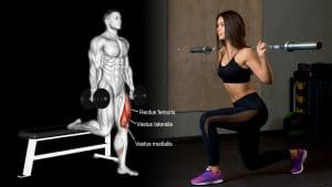 Bulgarian Split Squat Alternatives