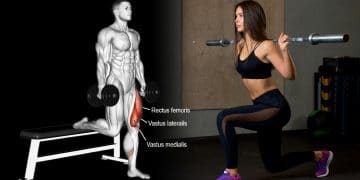 Bulgarian Split Squat Alternatives