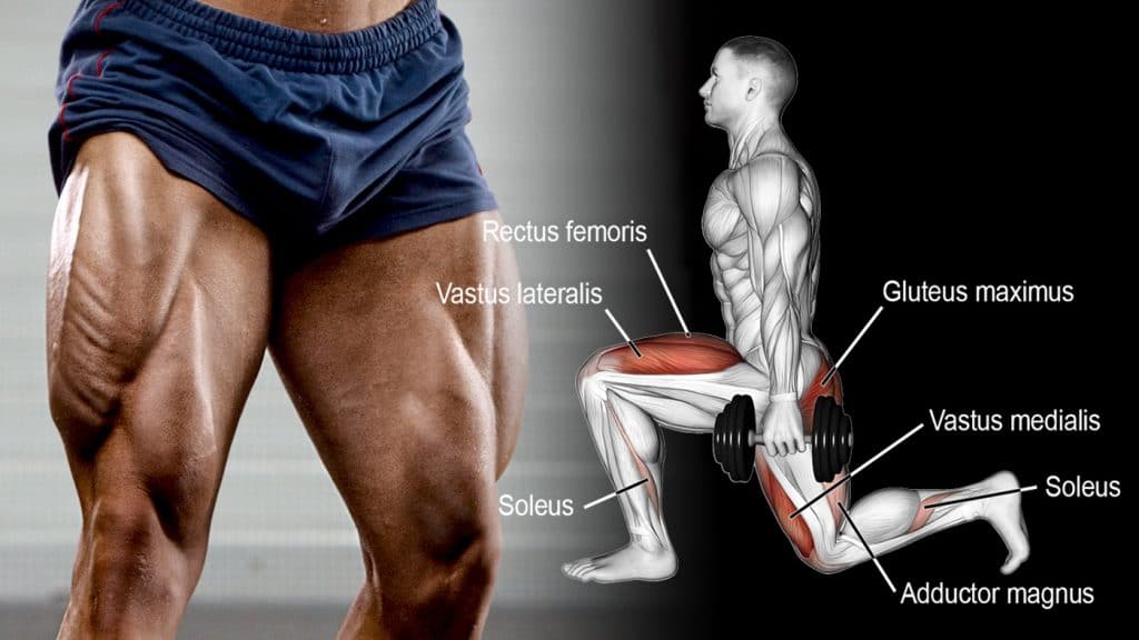 Dumbbells Only Leg Workouts