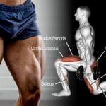 Dumbbells Only Leg Workouts