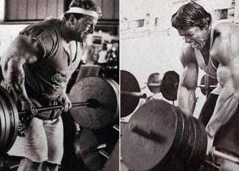 Inverted Row Alternatives