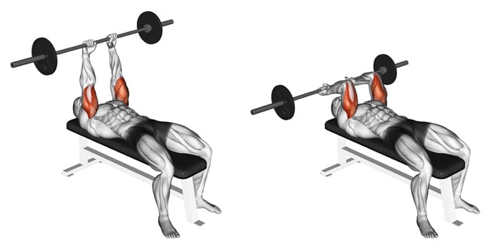 Skull Crusher Alternatives for Stronger, More Muscular Triceps – Fitness  Volt