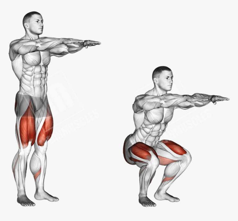 Master the Parallel Squat: Strengthen Your Legs Effectively – Fitness Volt