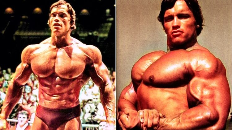 Arnold Schwarzenegger Chest Workout