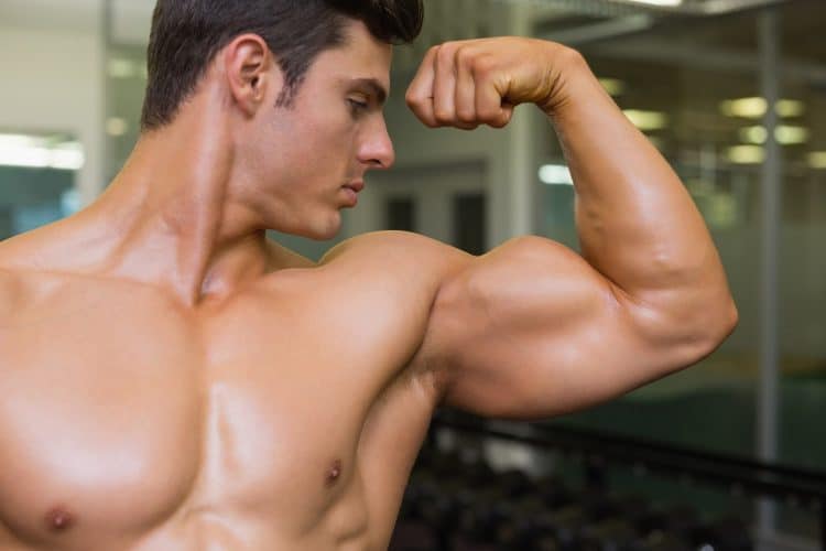 Average Biceps Male