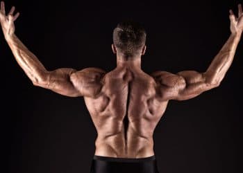 Build Muscular Back