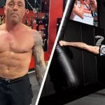 Joe Rogan Workout And Diet Program