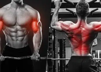 Single Vs. Multi-Joint Exercises