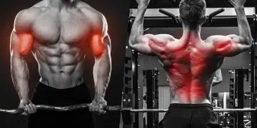 Single Vs. Multi-Joint Exercises