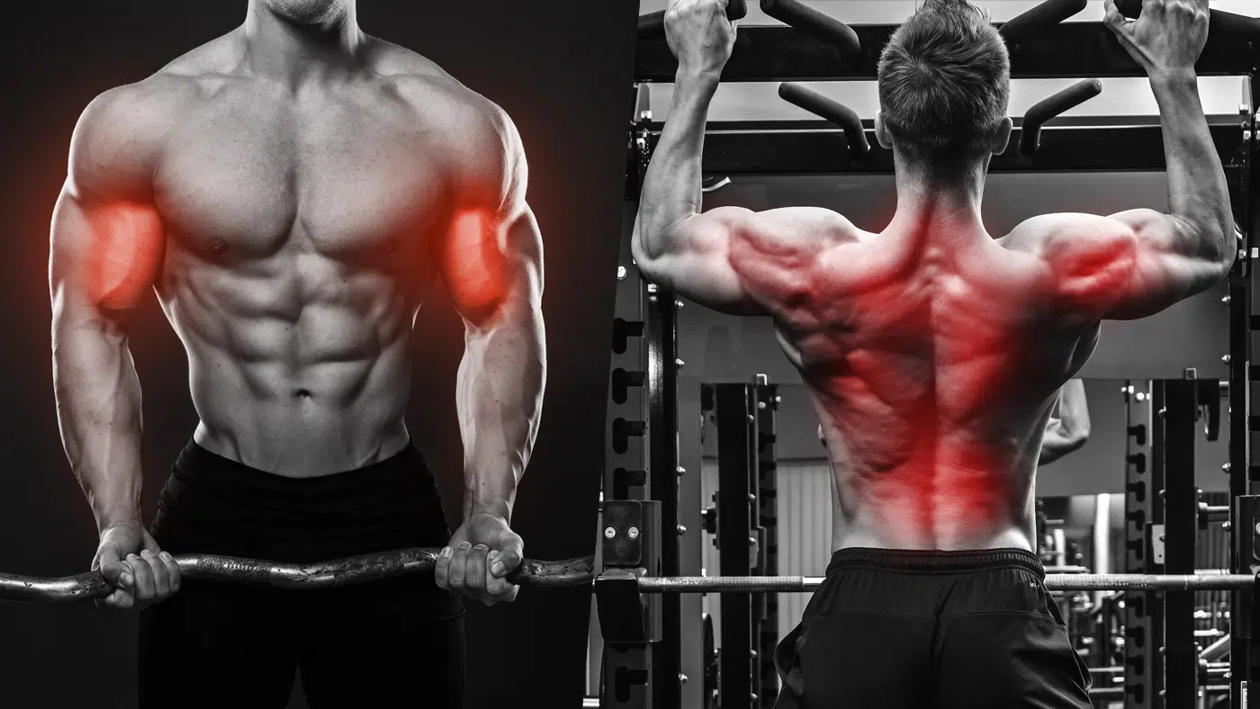 Single Vs. Multi-Joint Exercises
