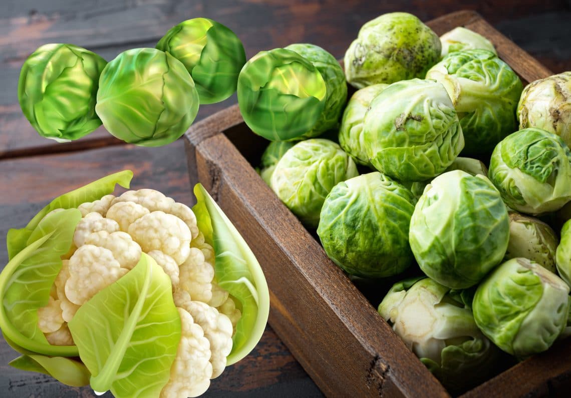 The Best Vegetables for Building Muscle Fitness Volt