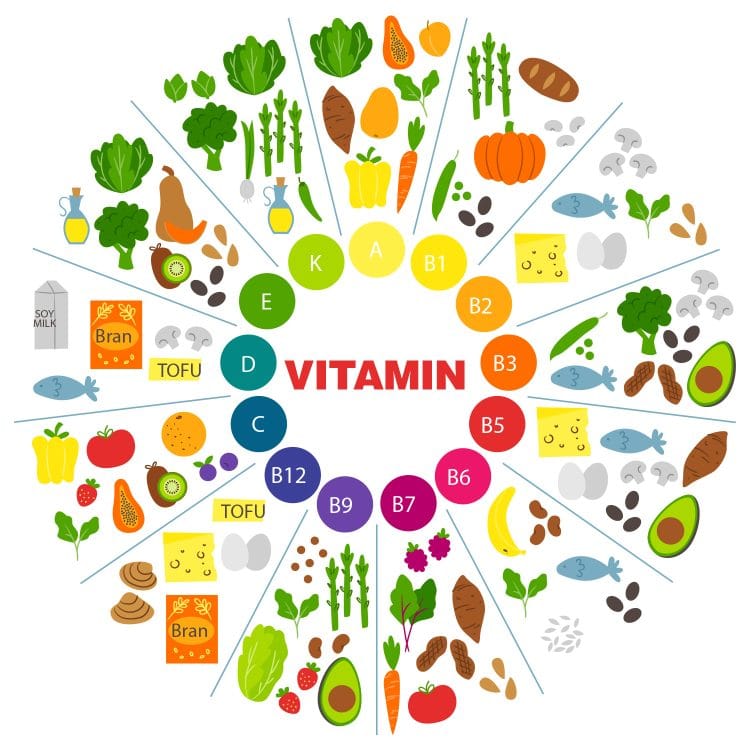 Vitamin Food Infographic
