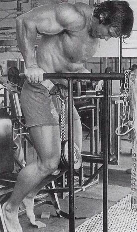 Arnold Schwartzenegger Weighted Dips