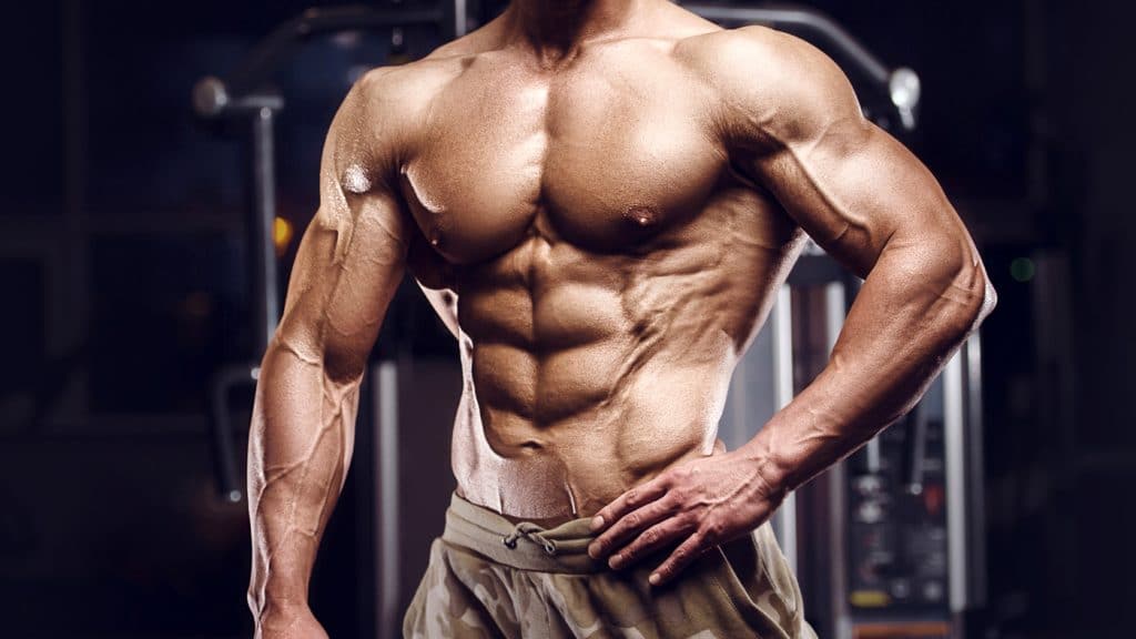 Anabolic Vs. Catabolic Metabolism