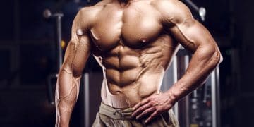 Anabolic Vs. Catabolic Metabolism