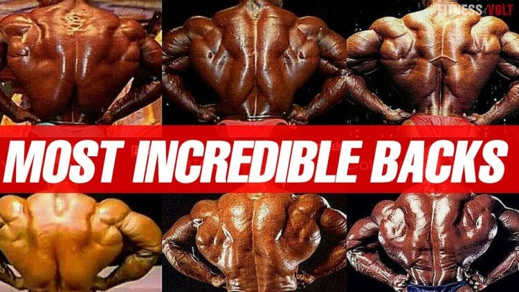 Best Backs In Bodybuilding