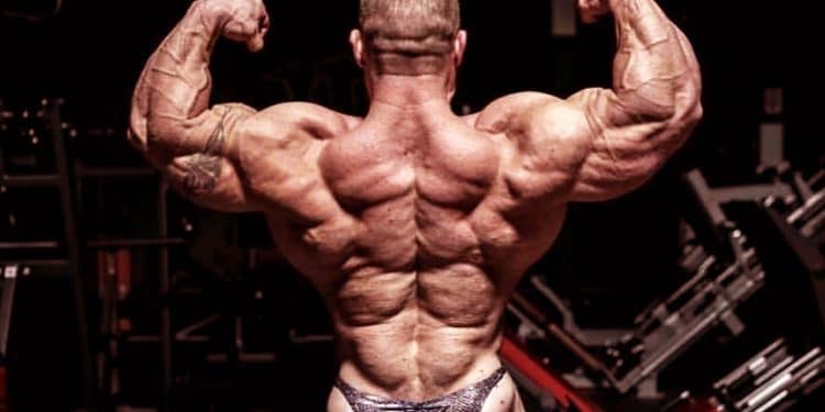 Best Lower Back Exercises