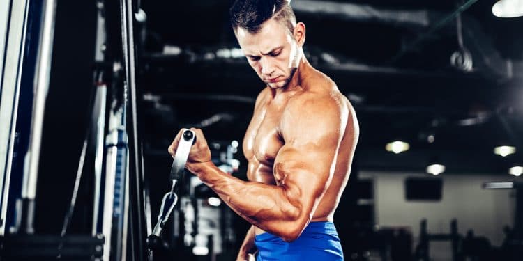 Cable Machine Exercises For Biceps