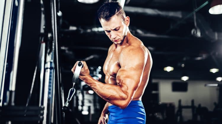 Cable Machine Exercises For Biceps