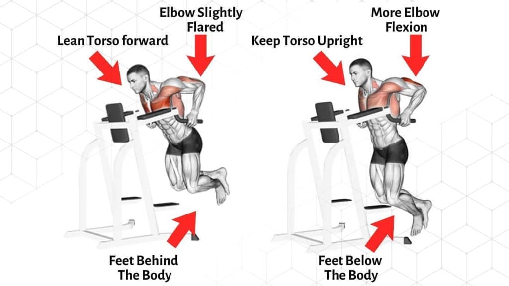Illustration comparing traditional chest-focused and triceps-focused parallel-bar dip setups.
