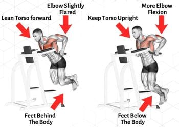 Chest Dips Vs Triceps Dips