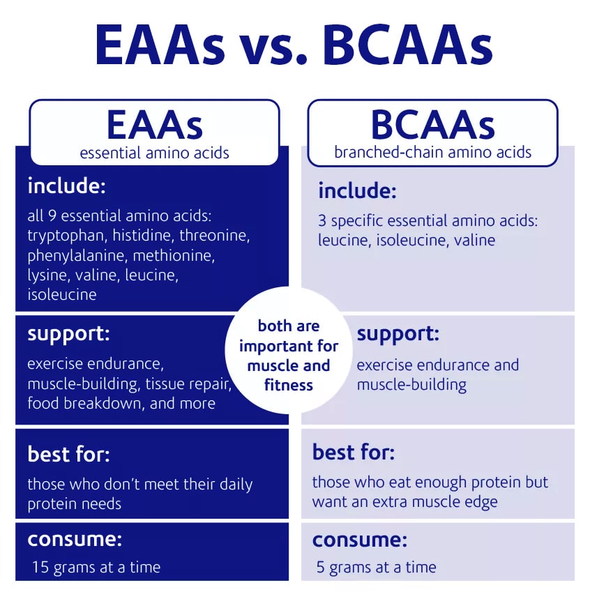 EAAs VS. BCAAs What's the Difference and Why it Matters Fitness Volt