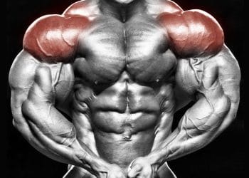 Exercises For Bigger Wider Shoulders