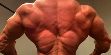 Mike O’Hearn Back Workout