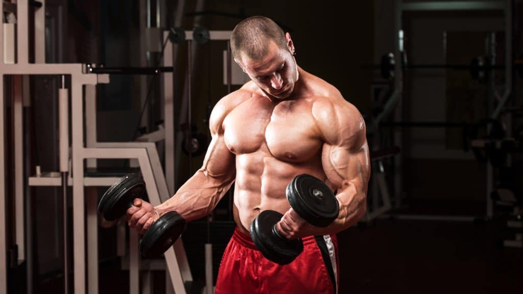Best Pull Exercises
