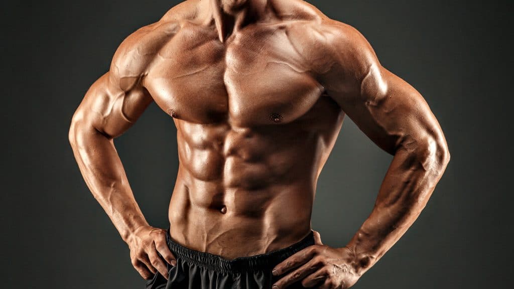 No Equipment Bodybuilding Workout