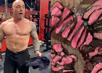 Joe Rogan Carnivore Diet