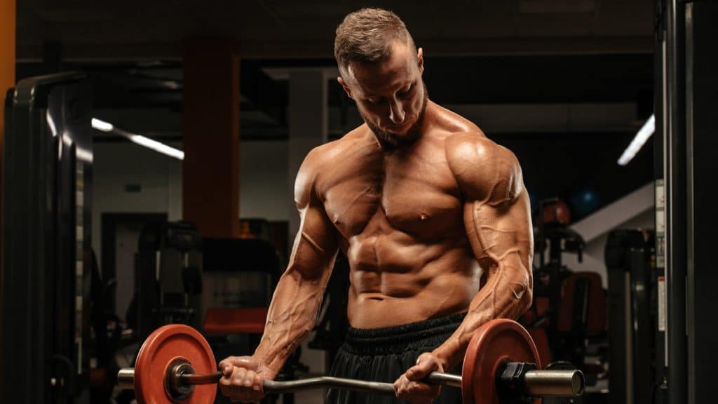 Mind Muscle Connection