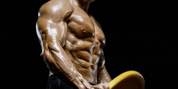 Two Exercise Workouts