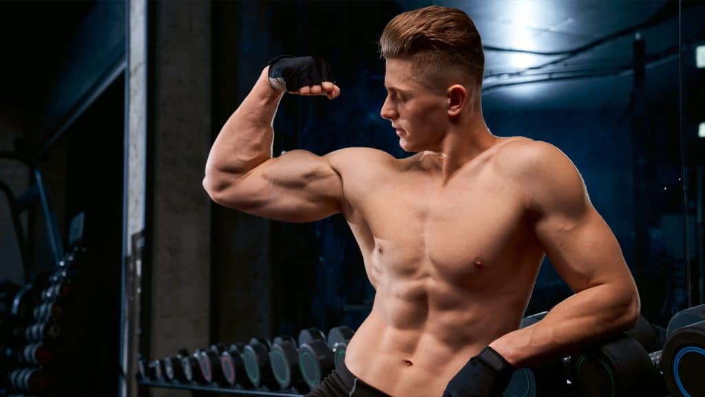 Your Training In The New Year