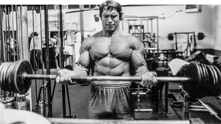 Arnold Schwarzenegger Barbell Curls