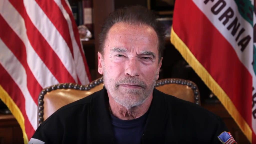 Arnold Schwarzenegger Car Crash