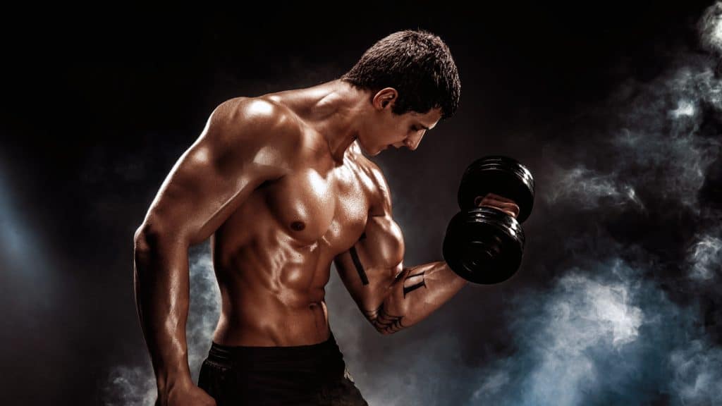 Beginners Bodybuilding Program