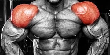 Front Delt Exercises